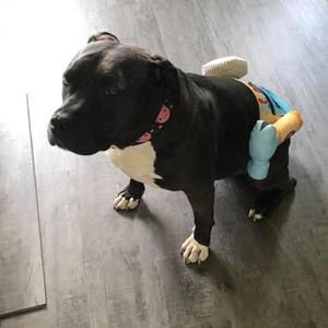 Meet your Posher, Amy